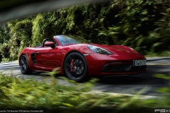 987-2-Porsche-718-Boxster-GTS-313