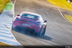 Porsche-718-Cayman-GT4-981-2-445