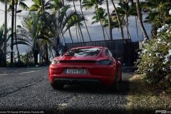 987-2-Porsche-718-Cayman-GTS-336