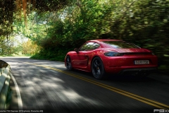 987-2-Porsche-718-Cayman-GTS-351