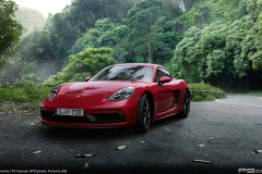 987-2-Porsche-718-Cayman-GTS-355