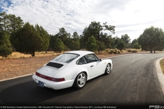 2018-RM-Sothebys-Amelia-Island-1991-Porsche-911-Carrera-Cup-486