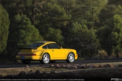 2018-RM-Sothebys-Amelia-Island-1993-Porsche-911-Turbo-36-680