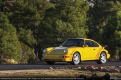 2018-RM-Sothebys-Amelia-Island-1993-Porsche-911-Turbo-36-687