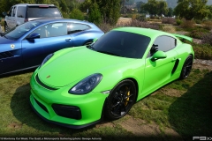 2018-Monterey-Car-Week-Porsche-The-Quail-1415